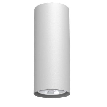 Antigo Point 1251 Natkriveno downlight svjetlo 1x10W/GU10 IP20