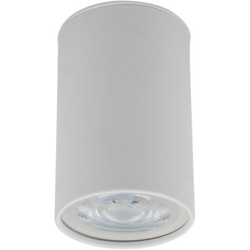 TK Lighting TOP 5766 Natkriveno downlight svjetlo 1x10W/GU10 IP20
