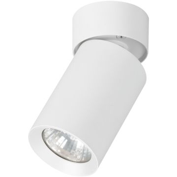Alfa FLEX 59026 Natkriveno downlight svjetlo 1x10W/GU10