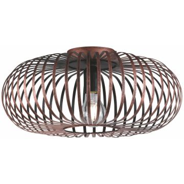 Trio JOHANN 606900162 Stropna svjetiljka 1x60w/e27 ip20