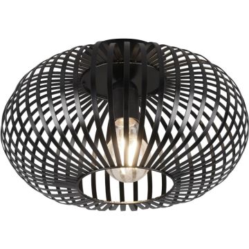 Trio JOHANN 606903032 Stropna svjetiljka 1x60w/e27 ip20