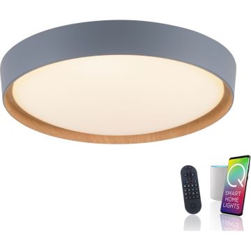 Paul Neuhaus Q-EMILIA 6118-15 Stropna svjetiljka 1x40W/LED 2700-5000k 3720lm ip20