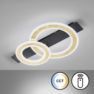 Fischer&Honsel Circle 21433 Plafonjera 1x20W/LED 2700K 3100 lm IP20