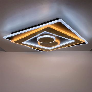 Fischer&Honsel Ratio 21425 Plafonjera 1x48W/LED 2700K 3800 lm IP20