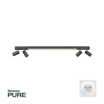 Paul Neuhaus PURE-LINE 6121-13 Reflektor 5x4W/LED CCT 2700K-3000K 1280LM IP20