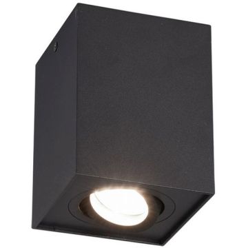 Trio BISCUIT 613000132 Natkriveno downlight svjetlo 1x35w/gu10 ip20