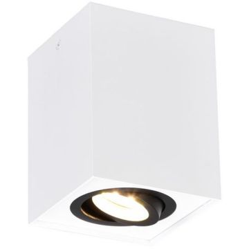 Trio BISCUIT 613000134 Natkriveno downlight svjetlo 1x35w/gu10 ip20