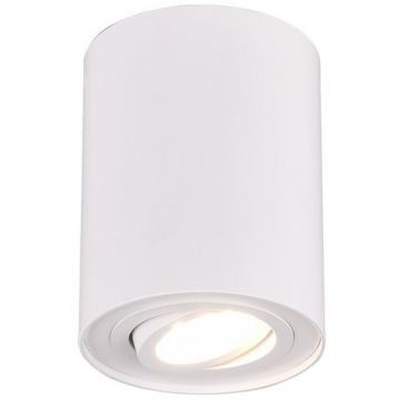 Trio COOKIE 612900131 Natkriveno downlight svjetlo 1x35w/gu10 ip20