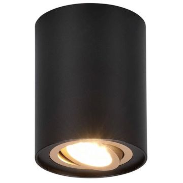 Trio COOKIE 612900180 Natkriveno downlight svjetlo 1x35w/gu10 ip20