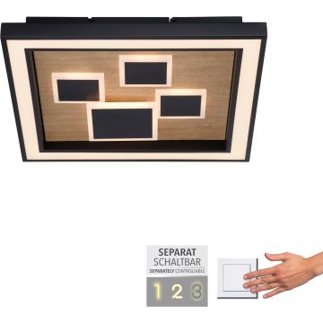 Paul Neuhaus ELIZA 6283-79 Stropna svjetiljka 1x55W/LED 3000k 5760lm ip20