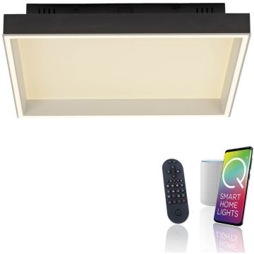 Paul Neuhaus Q-MAGONG 6316-18 Stropna svjetiljka 1x40W/LED 2700-5000k 5700lm ip20
