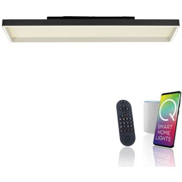 Paul Neuhaus Q-MAGONG 6317-18 Stropna svjetiljka 1x52W/LED 2700-5000k 5800lm ip20