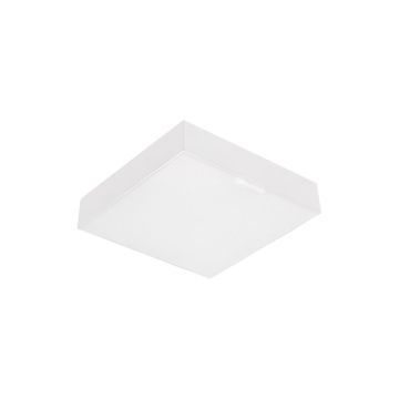 Prezent CANTO SQ 63215 Plafonjera 1x10W/LED 800lm IP20