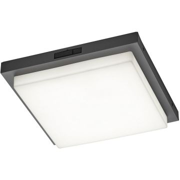 Trio BERMEJO 630369242 Stropna svjetiljka 1x14w/led 2300+3000+4000k 1450lm ip54