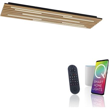 Paul Neuhaus Q-AKUSTIK 6422-79 Stropna svjetiljka 1x48W/LED 2700-5000k 4440lm ip20