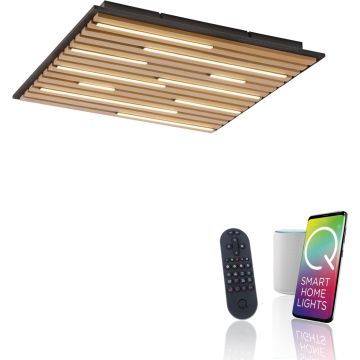 Paul Neuhaus Q-AKUSTIK 6423-79 Stropna svjetiljka 1x35W/LED 2700-5000k 3240lm ip20