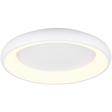Trio CARDONA 649616031 Stropna svjetiljka 1x38w/led 2300+3000+4000k 4400lm ip20