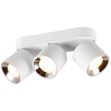 Trio GUAYANA 651000331 Reflektor 3x10w/gu10 ip20