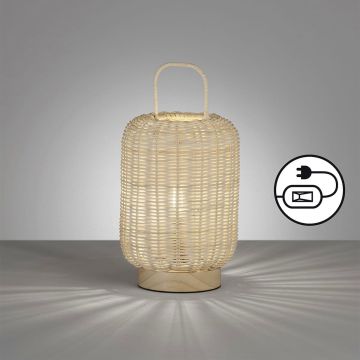 Fischer&Honsel Nature 50738 Stolna svjetiljka 1x25W/E14 IP20