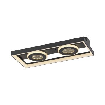 Paul Neuhaus TRAFORO 6854-18 Plafonjera 1x20W/LED 2700K-5000K 600lm IP20