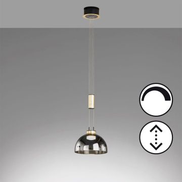 Fischer&Honsel Avignon 61013 Visilica 1x9W/LED 2700K 1000 lm IP20