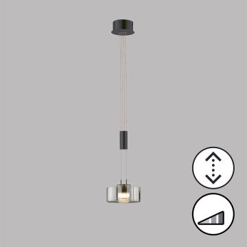 Fischer&Honsel Lavin 61094 Visilica 1x9W/LED 2700K 950 lm IP20