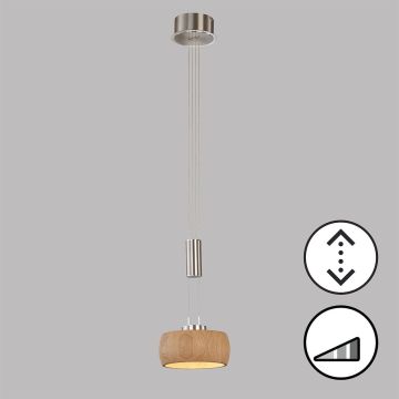 Fischer&Honsel SHINE-WOOD 61075 Visilica 1x9W/LED 2700K 950 lm IP20