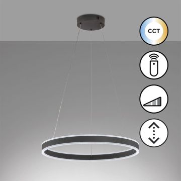 Fischer&Honsel Sirko 61048 Visilica 1x54W/LED 2700K 8500 lm IP20