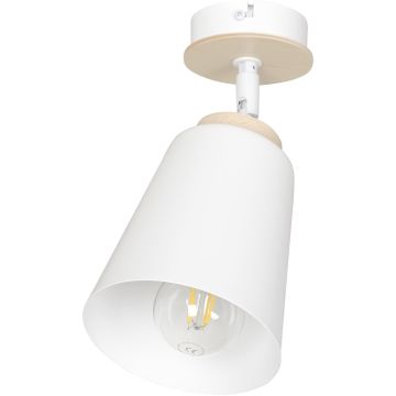 Emibig ATLAS 724/1 Reflektor 1x60W/E27 IP20