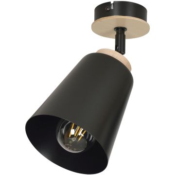 Emibig ATLAS 725/1 Reflektor 1x60W/E27 IP20