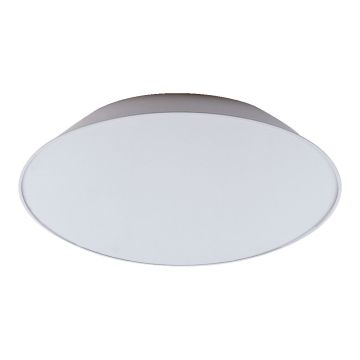 Prezent BAIKAL 75302 Plafonjera 1x55W/T5 IP20