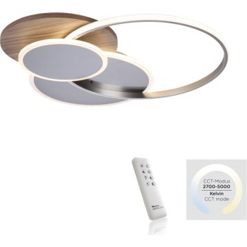 Paul Neuhaus PALMA 8328-79 Stropna svjetiljka 1x55W/LED 2700-5000k 6000lm ip20