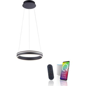 Paul Neuhaus Q-VITO 8410-13 Visilica 1x33W/LED 2700-5000k 3250lm ip20