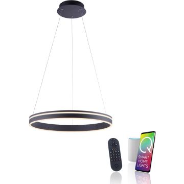Paul Neuhaus Q-VITO 8411-13 Visilica 1x44W/LED 2700-5000k 4550lm ip20
