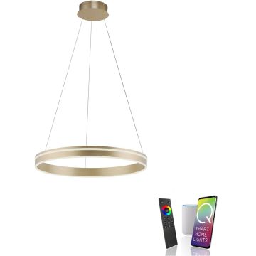Paul Neuhaus Q-VITO 8411-60 Visilica 1x44W/LED 2700-5000k 4550lm ip20