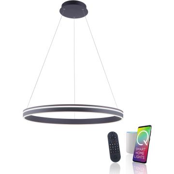 Paul Neuhaus Q-VITO 8412-13 Visilica 1x65W/LED 2700-5000k 7000lm ip20
