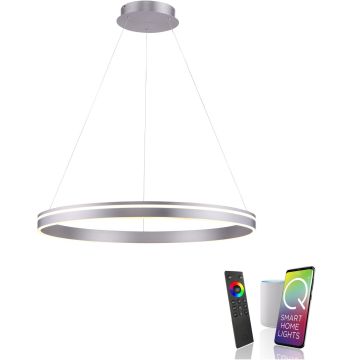 Paul Neuhaus Q-VITO 8412-55 Visilica 1x65W/LED 2700-5000k 7000lm ip20
