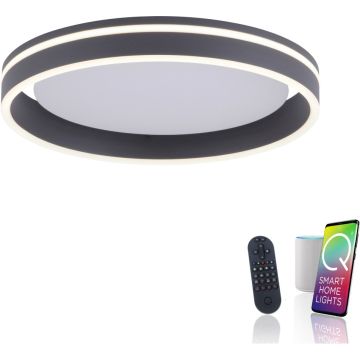Paul Neuhaus Q-VITO 8414-13 Stropna svjetiljka 1x33W/LED 2700-5000k 3250lm ip20