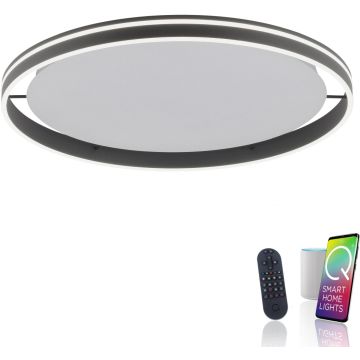 Paul Neuhaus Q-VITO 8418-13 Stropna svjetiljka 1x65W/LED 2700-5000k 7000lm ip20