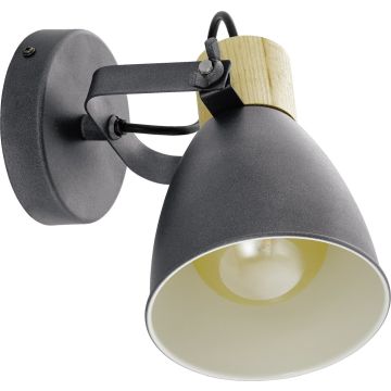 Eglo COSWARTH 901174 Reflektor 1x25w/e27 ip20