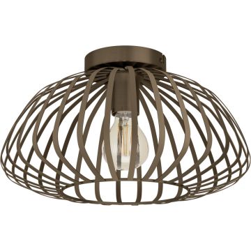 Eglo ESPINAL 901096 Stropna svjetiljka 1x40w/e27 ip20