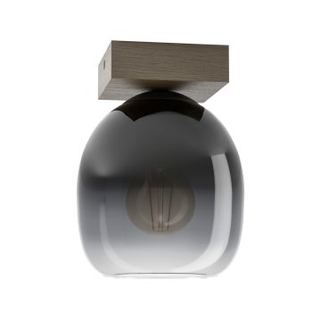 Eglo FILAGO 900825 Stropna svjetiljka 1x40W/E27 IP20