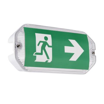 Endon SIGHT ECO 91358 Svetiljka za hitne slučajeve 3W/LED 6500K 220LM IP65