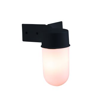 Endon WARE EL-40088 Zidna svjetiljka 40W/E27 IP44
