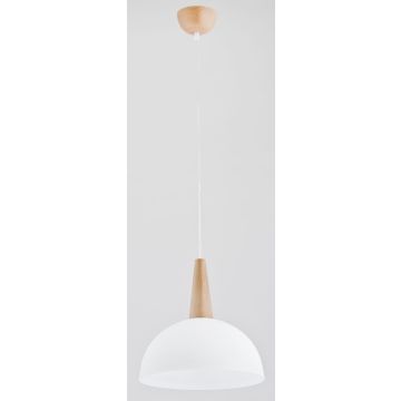 Alfa FOTYN 9725 Visilica 1x60W/E27 IP20