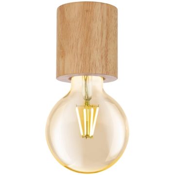 Eglo TURIALDO 99077 Natkriveno downlight svjetlo 1x28W/E27 IP20