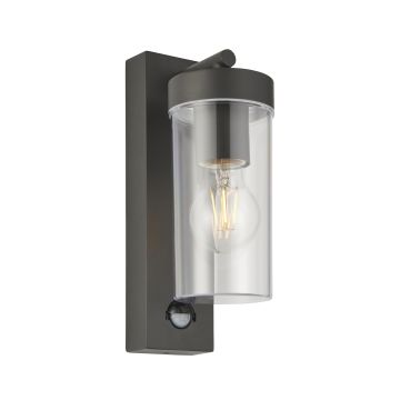 Endon HAYDEN PIR 99756 Zidna svjetiljka 15W/E27 IP44