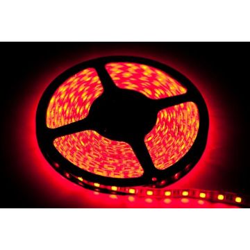 Eko-Light LED STRIP EKPL891 LED traka 24W/500cm IP20
