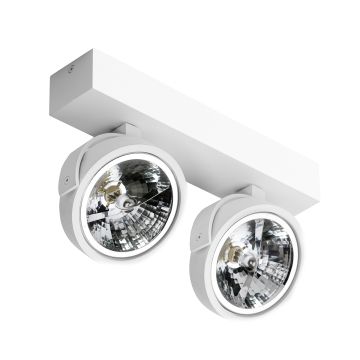 AZzardo JERRY AZ1369 Reflektor 2x50W/QR111 IP20