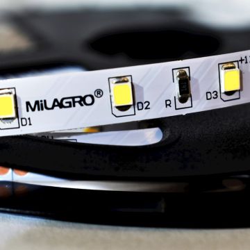 Milagro LED STRIP ML4747 LED traka 24W/500cm IP20